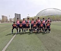 足球狂热追逐繁荣，球员实力蒸蒸日上！